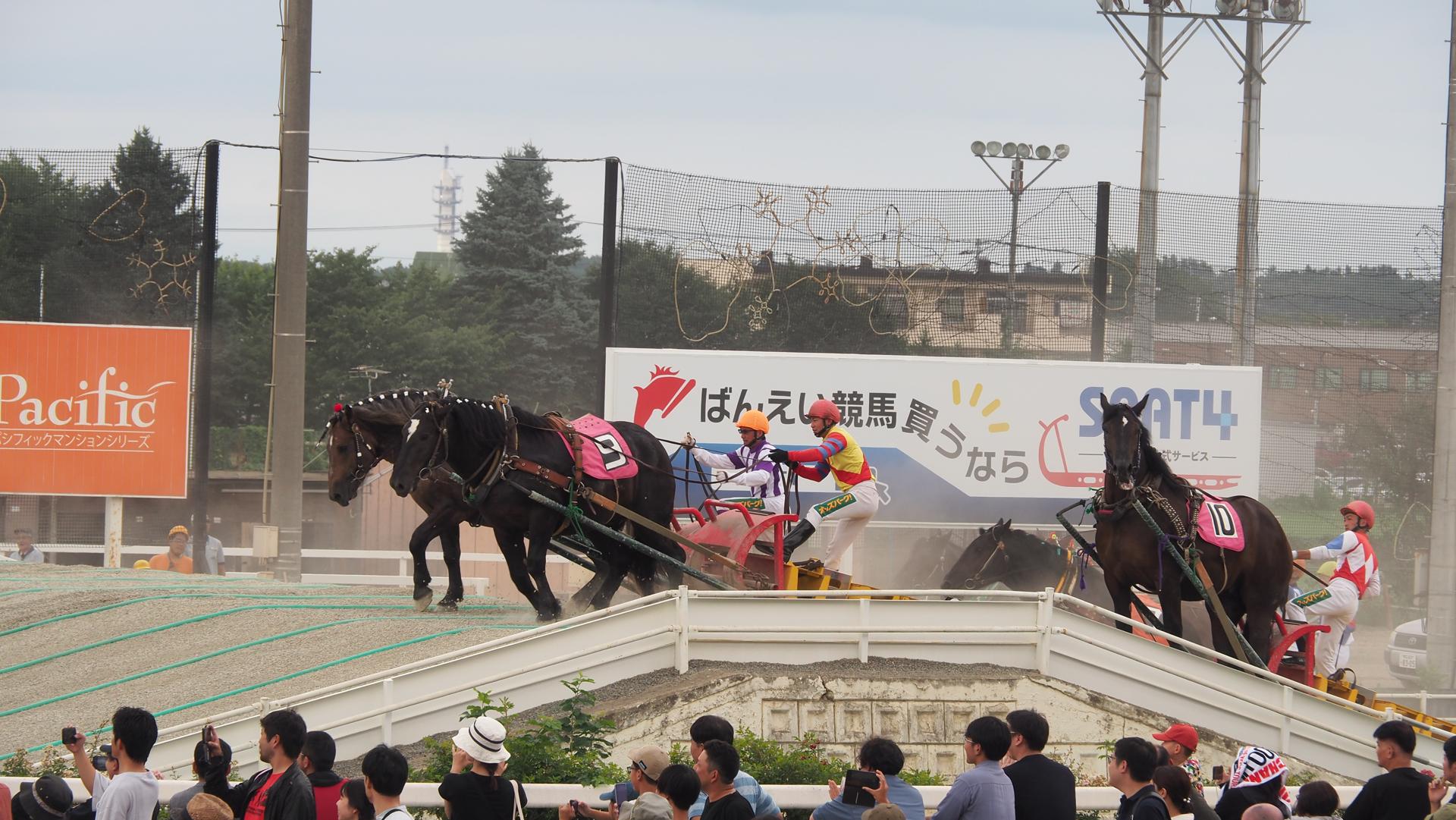 ばんえい競馬