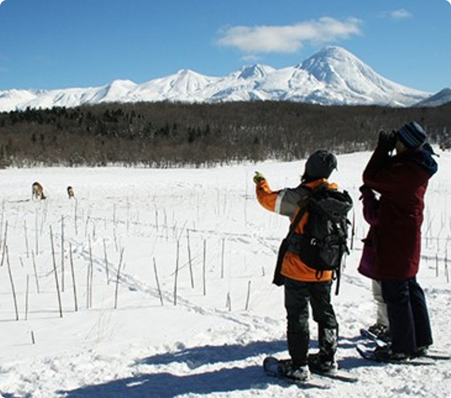 Furepe フレペの滝