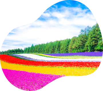 富田农场